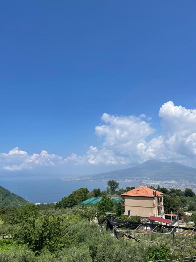 Villa Marilu ปิมอนเต ภายนอก รูปภาพ